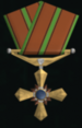Distinguished Flying Cross