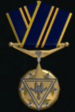 NTF Campaign Victory Star