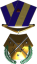 MedalOfHonor.png