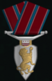 SOC Service Medallion
