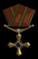 Distinguished Flying Cross