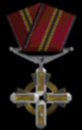 Distinguished Service Cross
